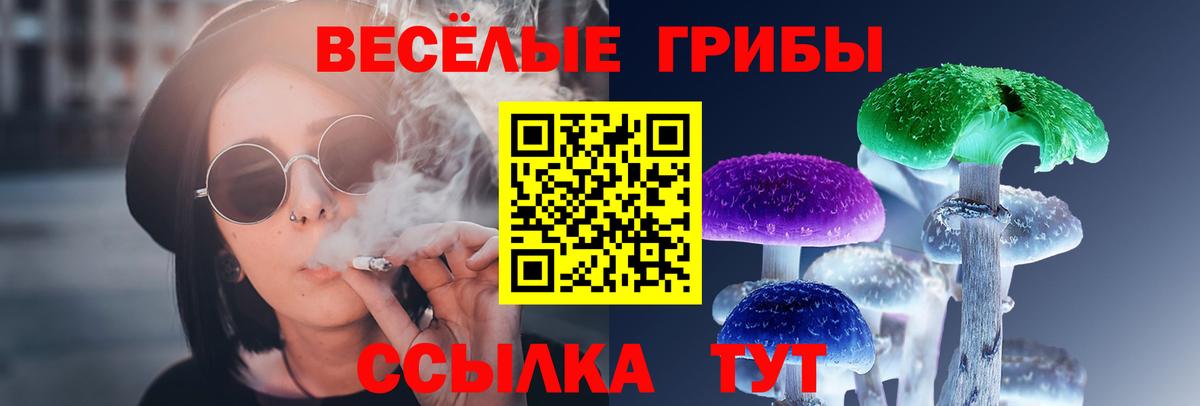 Псилоцибиновые грибы ЛСД  Вход с VPN  Скопин 